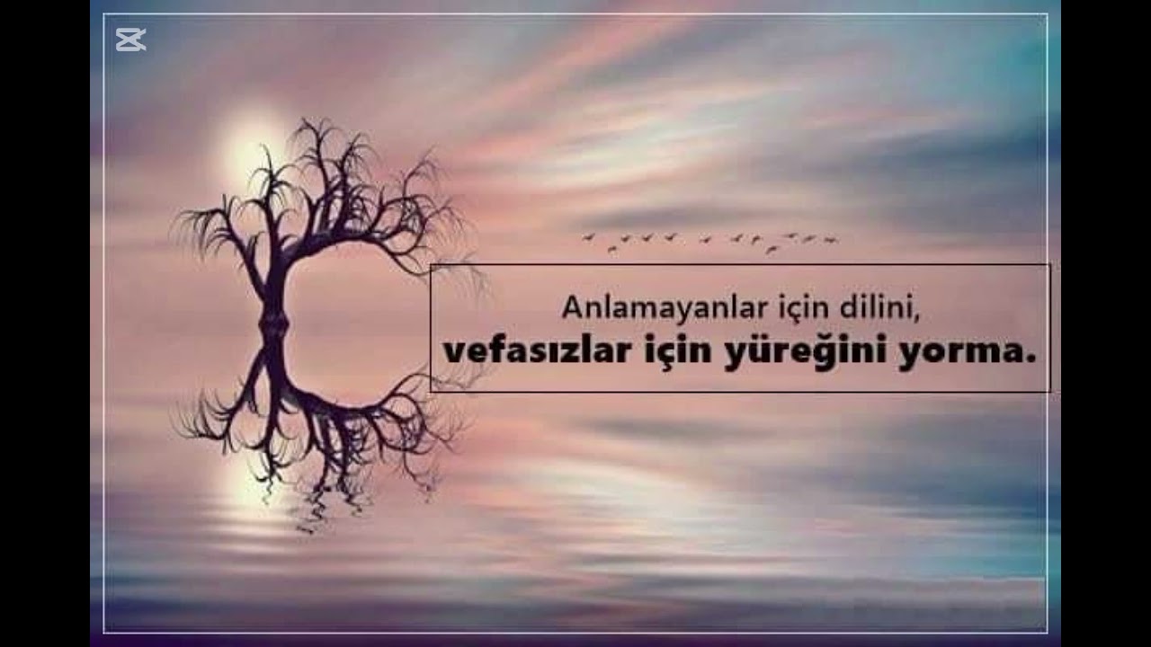 Bazı hisler geceye yakışır