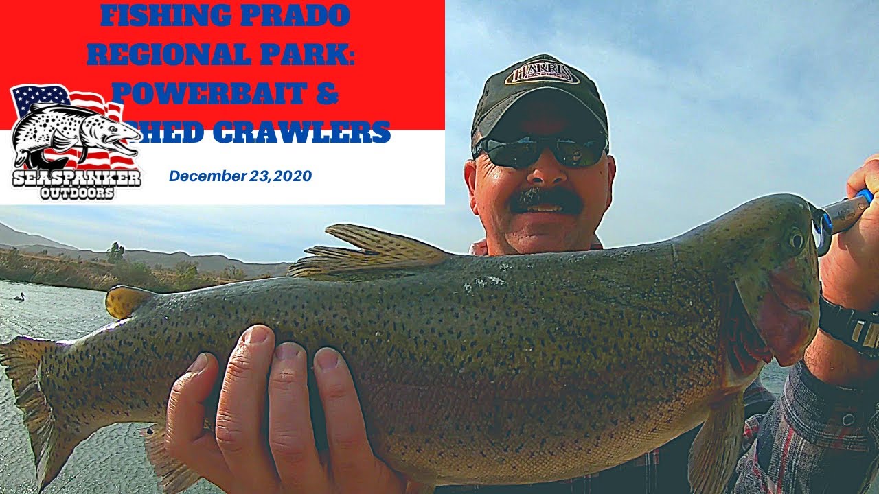 Fishing Prado Regional Park: PowerBait and Pinched Crawlers