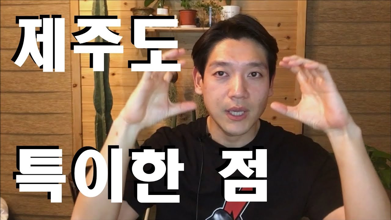 제주도 이주 4년차 그동안 느낀 제주도의 특이한 점