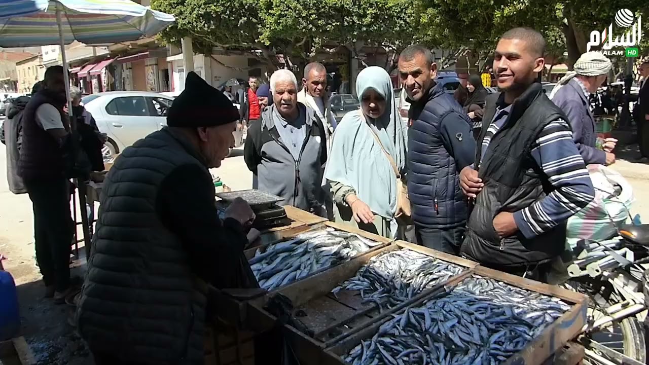 أسعار السمك تنخفض ببوقادير الشلف و المواطنون يعبرون عن ارتياحهم