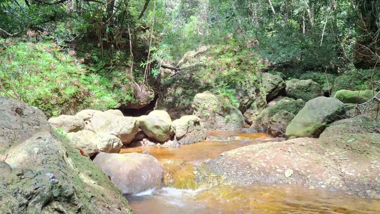 River Sounds for Focus & Brain Relaxation | Natural Dopamine Reset
