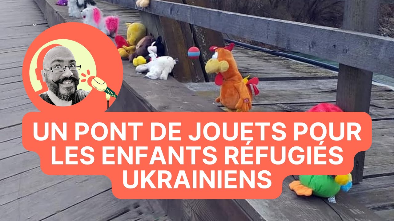 Un pont de jouets pour les réfugiés, canithérapie à l'hôpital, écolo au bureau