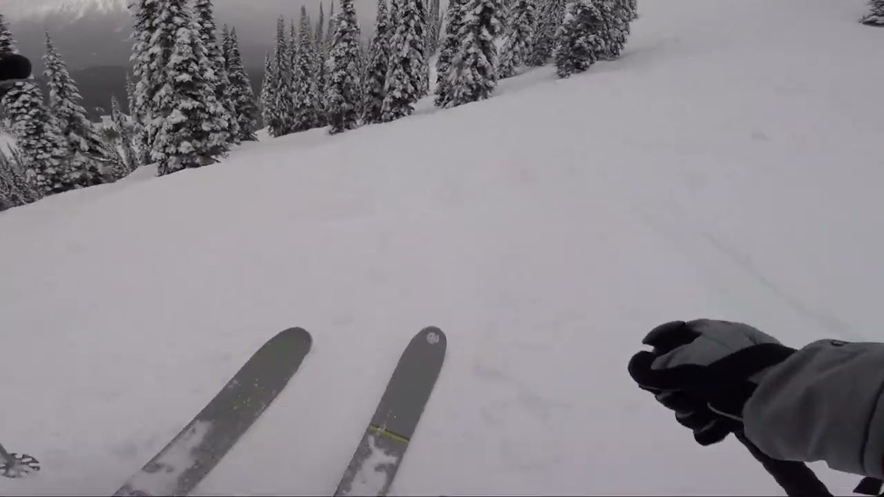 Skiing trees at Fernie