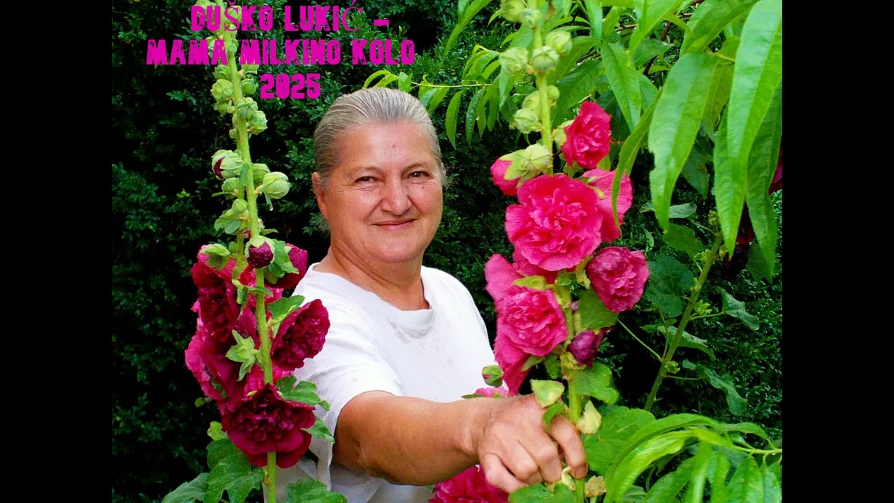 DUŠKO LUKIĆ - Mama Milkino kolo (2025 unplugged version)