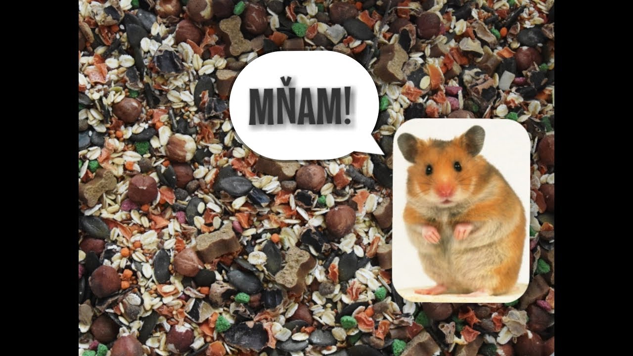 Nová jarní směs pro křečky!