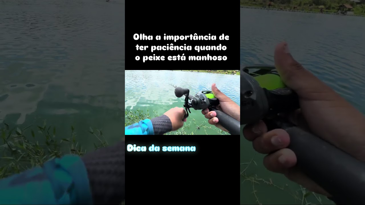 Dica de pesca para pesqueiro tempo certo para dar a figada 