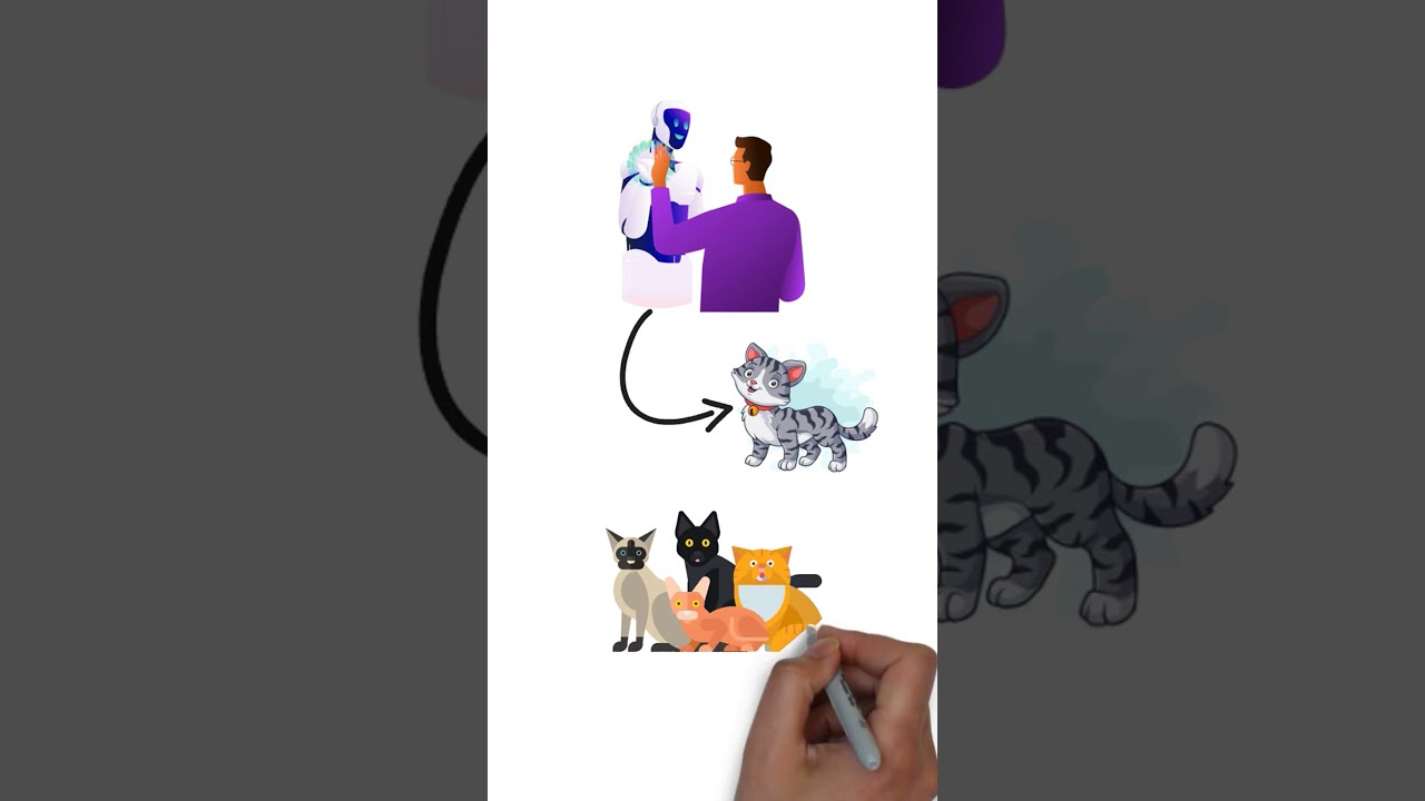 How AI Learns: Training vs. Inference Explained Simply!