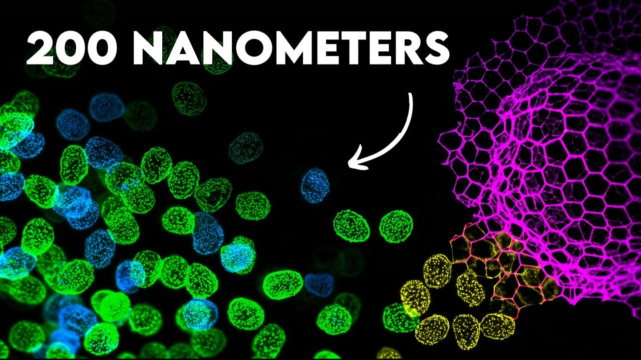 We Finally Know How Small Life Really Started