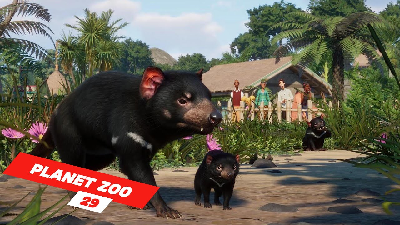 Build a Habitat for Tasmanian Devil  in our Antarctica theme | ep 29 | Planet Zoo | ZwollywoodZz