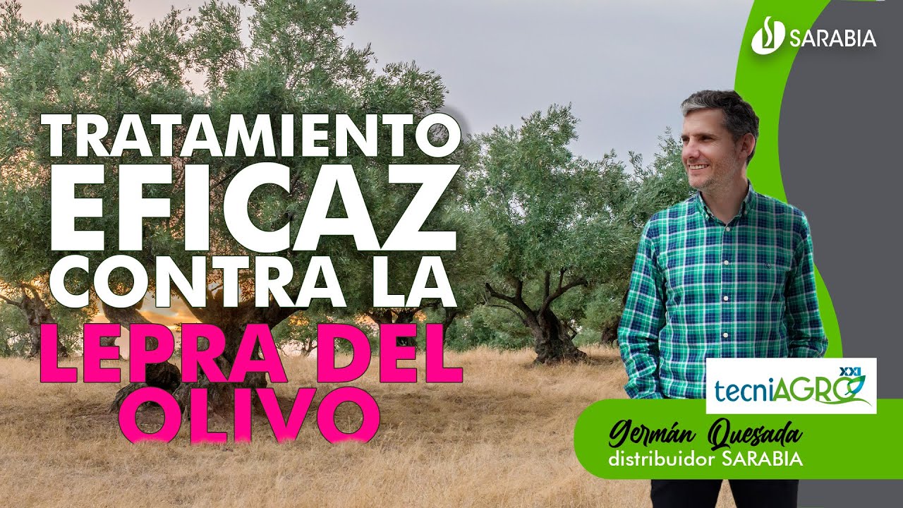 3️⃣2️⃣1️⃣ la 𝗟𝗘𝗣𝗥𝗔 es una ~enfermedad emergente~ en el OLIVAR ➡️ te explicamos como tratarla