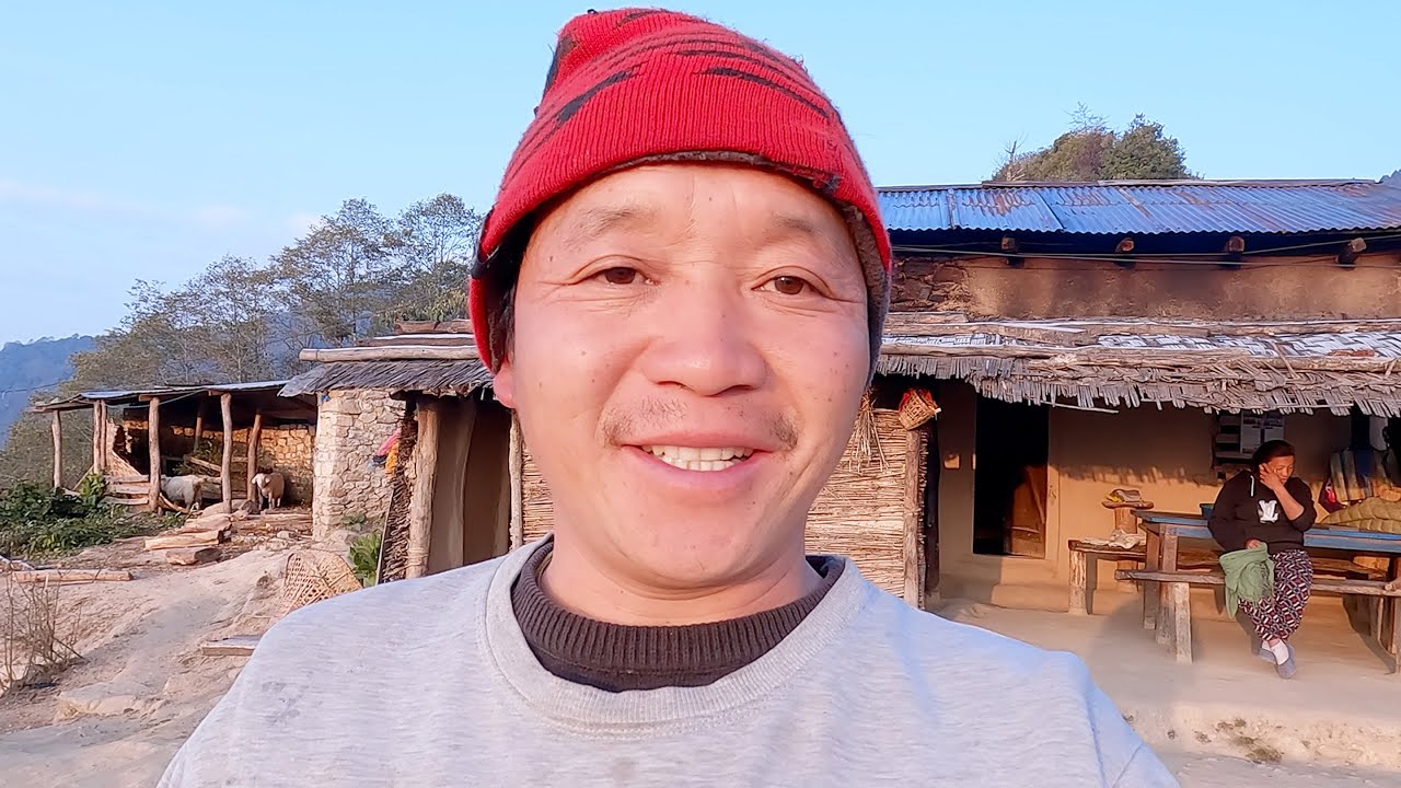 we are cutting fire wood in the jungle || @bhumivillagevlogs