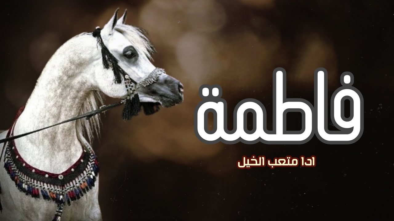 افخم شيلة مدح باسم فاطمة - ادا متعب الخيل 2024 جديد