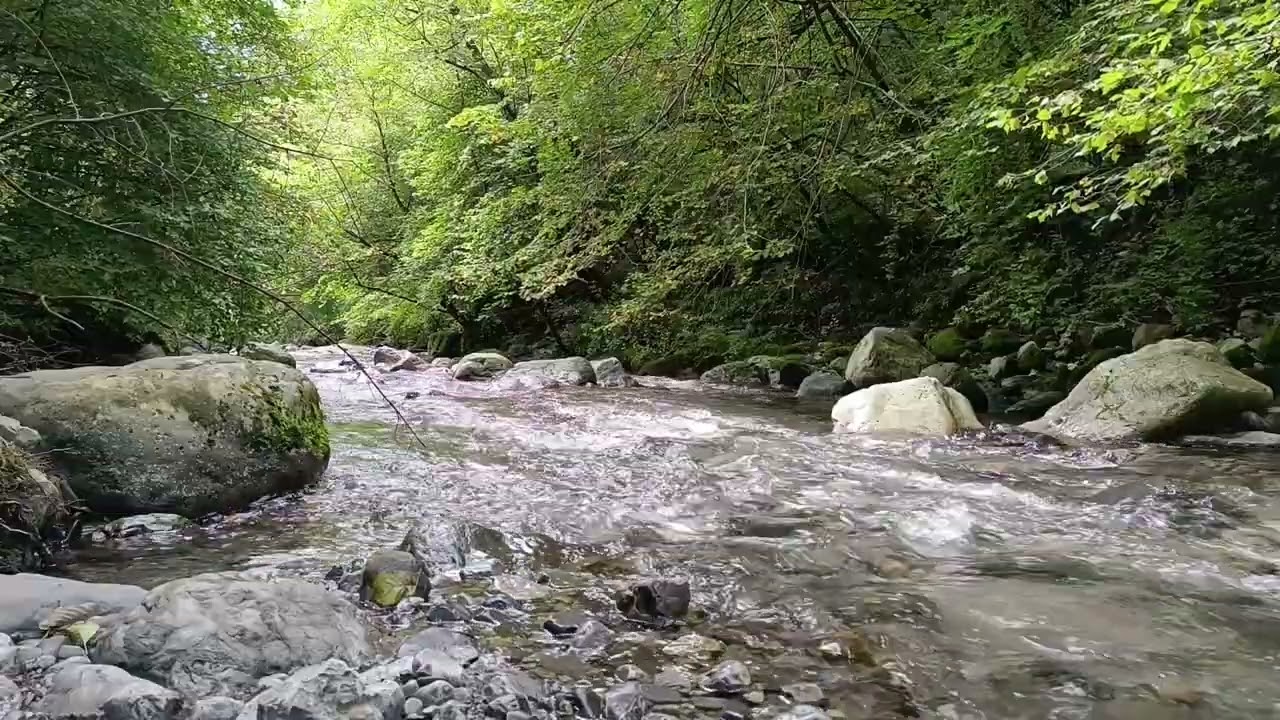 Tranquil Stream Flowing Through a Hidden Valley – Relaxing Nature Sounds for Sleep & Study
