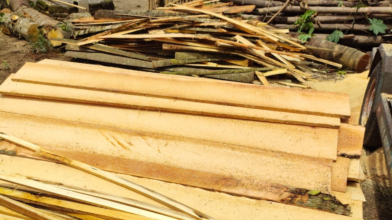 Pengrajangan kayu pakai gergaji piringan serkel Penggergajian kayu dengan mesin potong