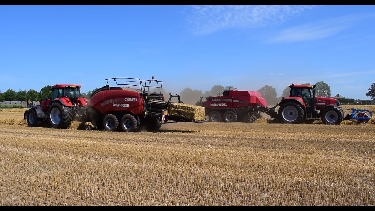 Stro persen en laden | Case IH 195 + Case IH 1195 | Straw baling | Rovers Boekel