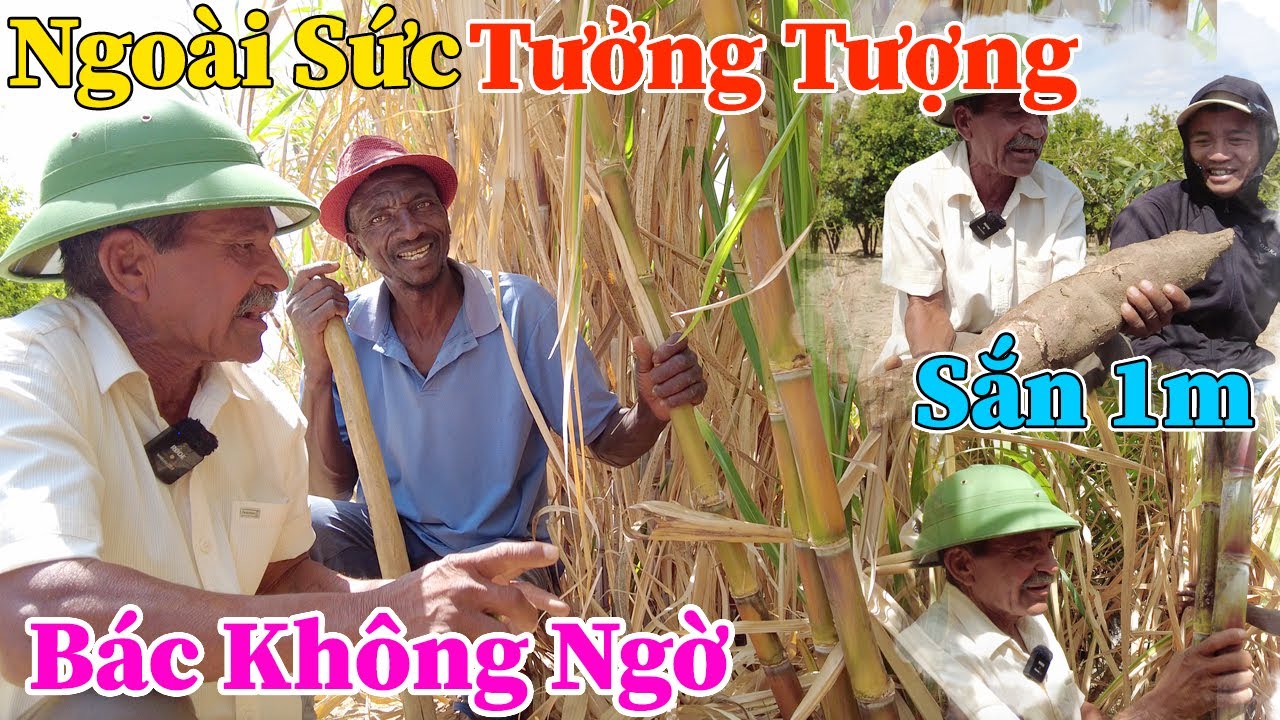Công Giáp || Bác Chủ Đất Ngoài Sức Tưởng Tượng, Trầm Trồ Khen Anh Manuel, Khi Lần Đầu Tới Nhà Thăm ?