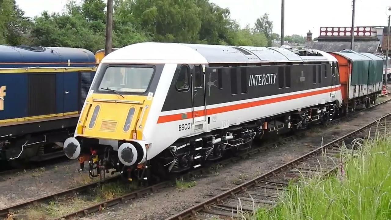 89001 Avocet at Barrow Hill