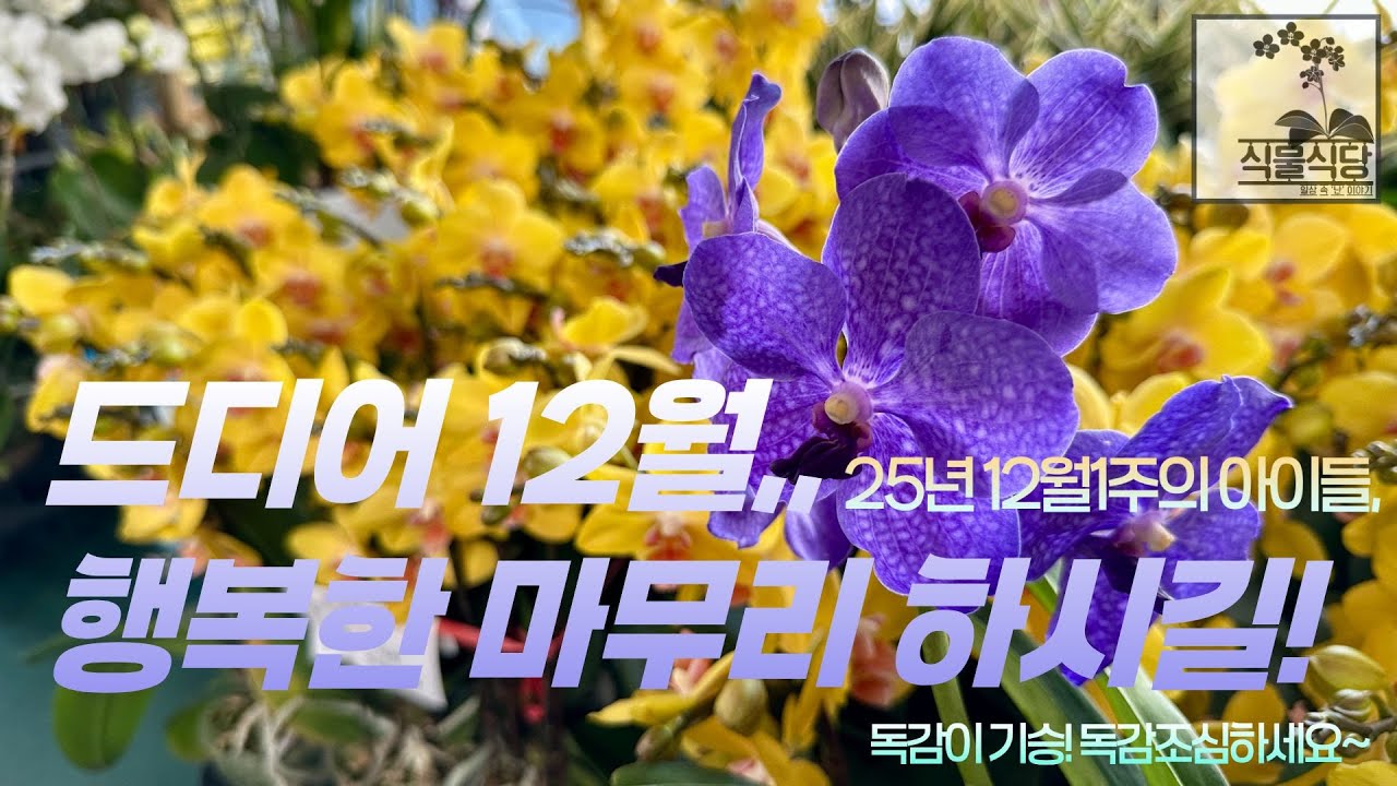 12월1주 아이들, 드디어 12월,,,행복한 마무리 하시길!