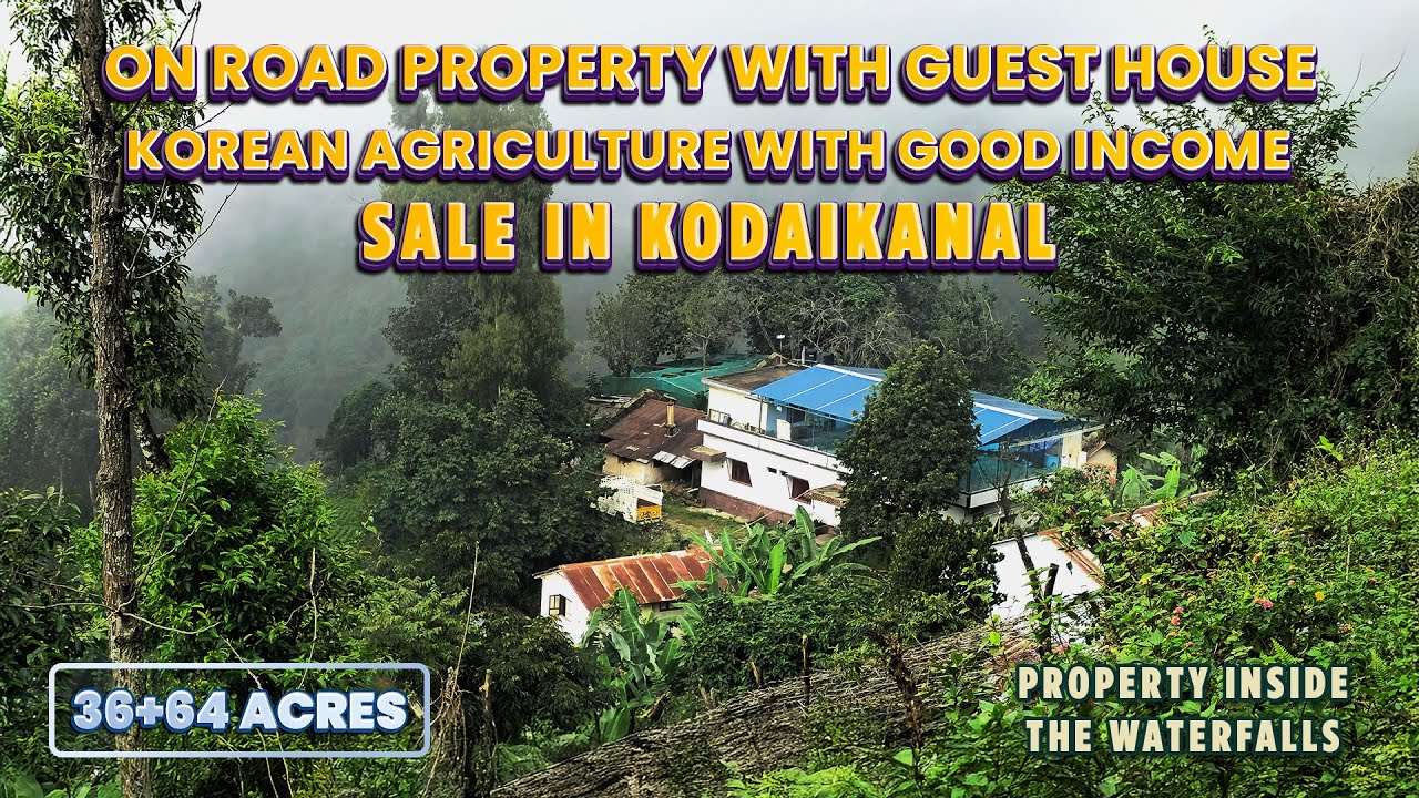 36 Acres On road property with guest house for sale in Korean agriculture, good income property