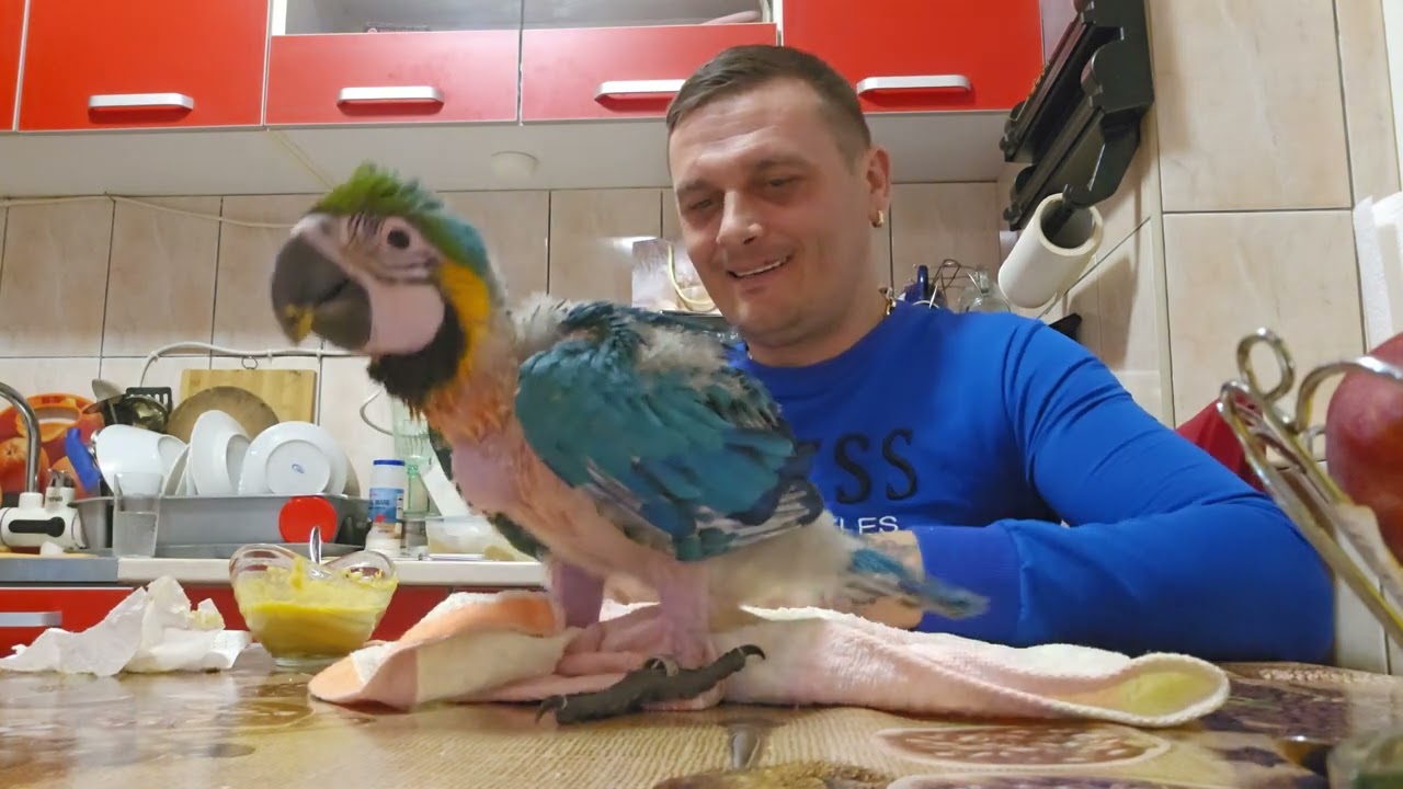 PACO SERVESTE MASA