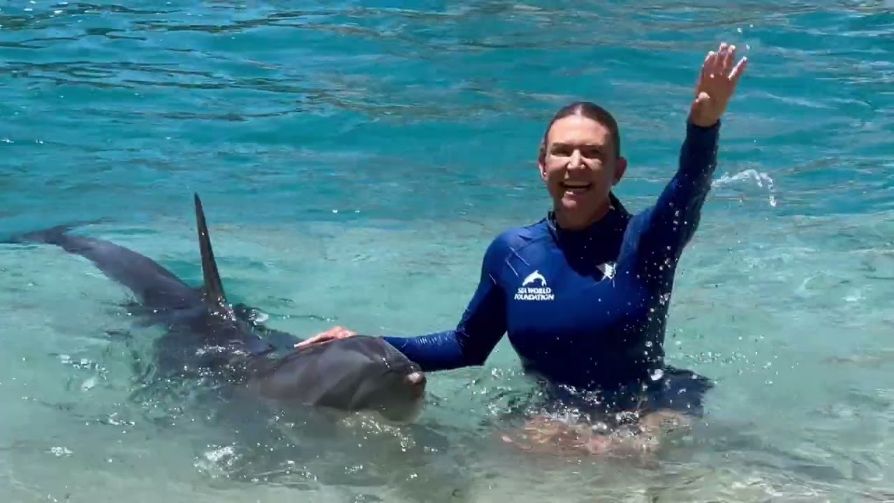 SeaWorld Goldcoast Dolphin show The One  5.2.26