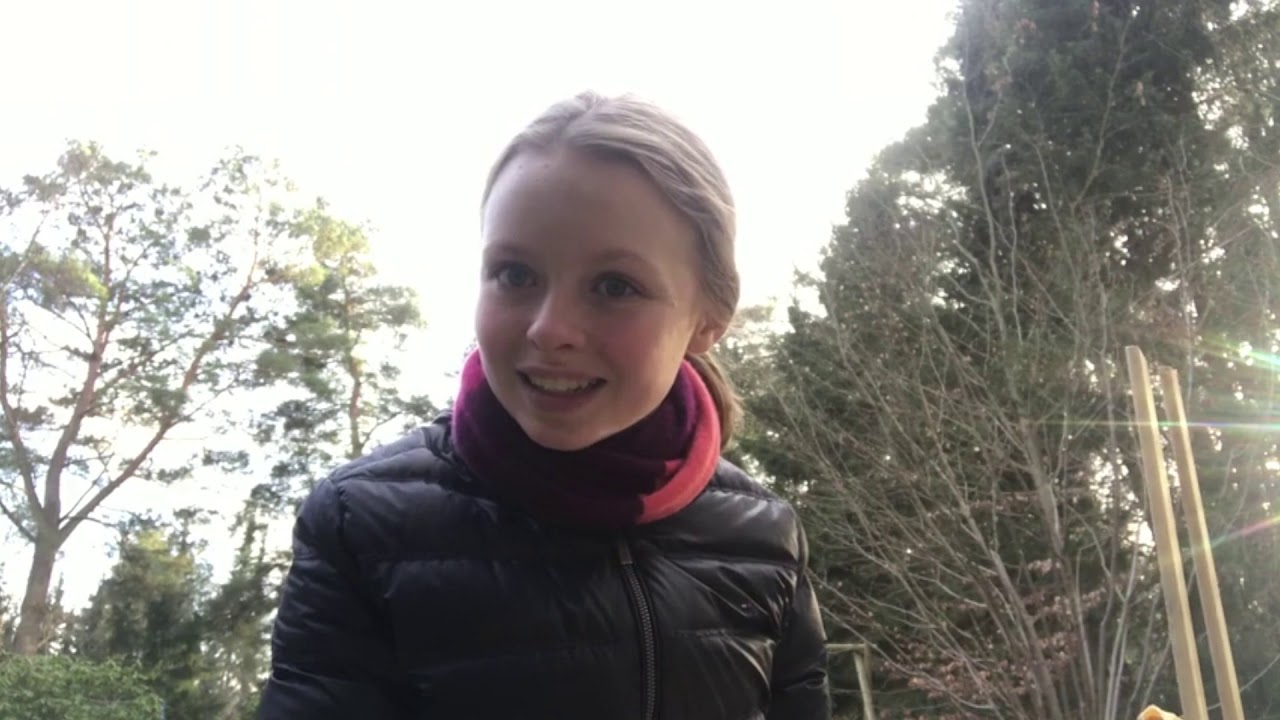 Silkes STEM-lege for b&oslash;rn: Byg din egen katapult og g&aring; p&aring; skattejagt efter grundstoffer