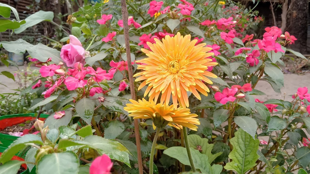 M.k Garden9707