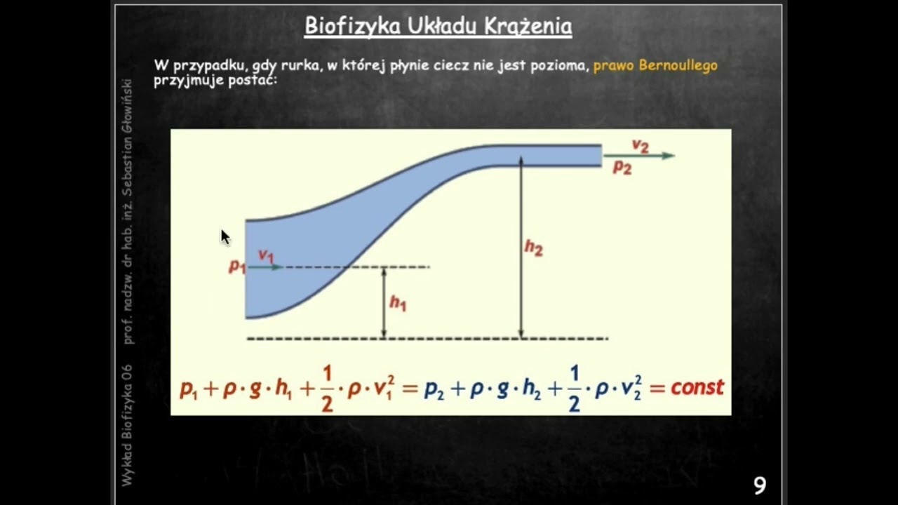 Biofizyka 06 wykład