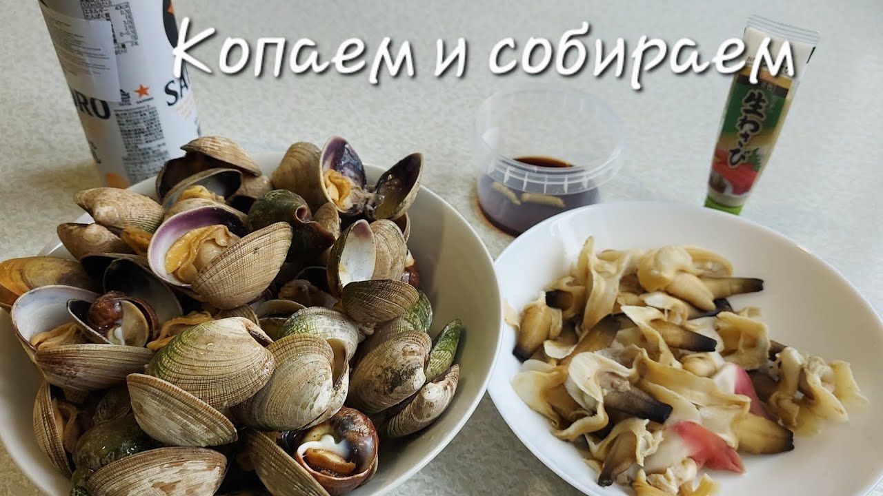 Сахалинская тихая рыбалка , копал спизулу и гуидак #сахалин #природа #рыбалка