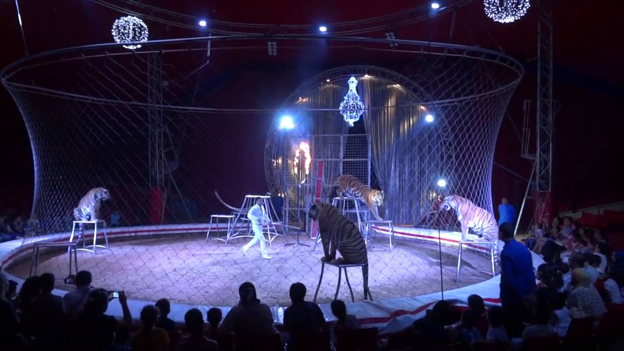 Cirque Lidia Togni à Monastir