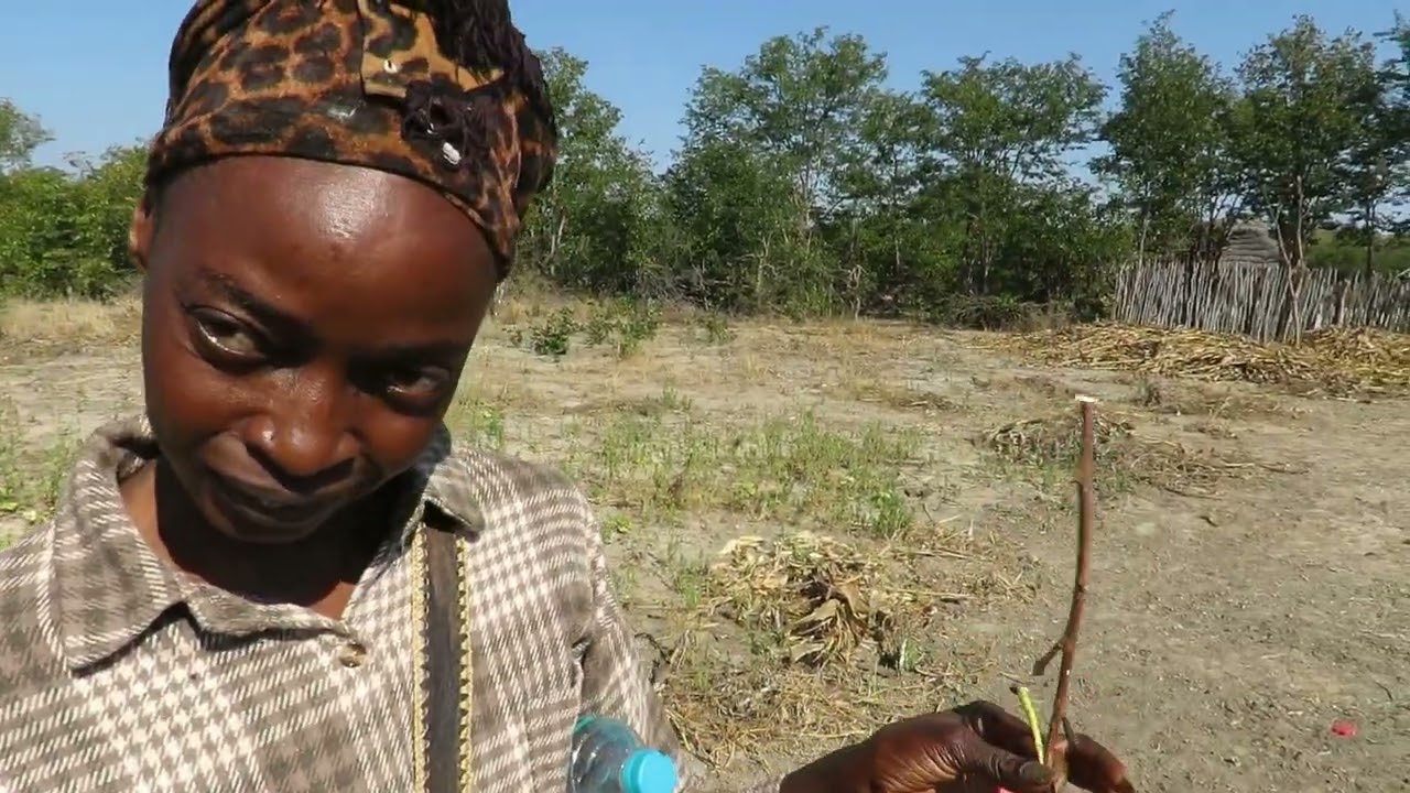 Buying vegetables in Zimbabwe, seeing medicinal plants on the way