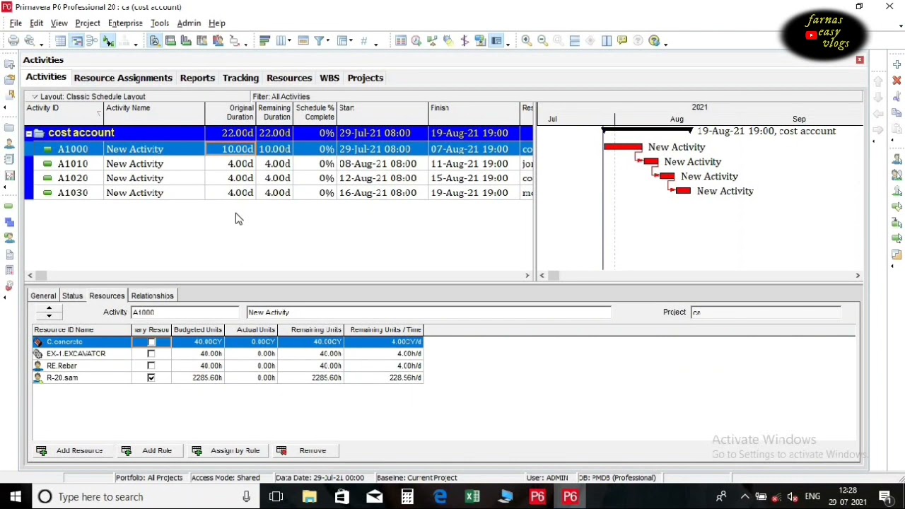 Cost Account in Primavera P6.