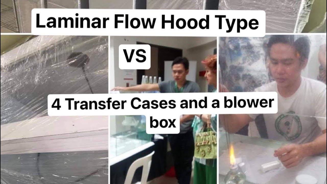 DIY Plant Tissue Culture Lab Set Up: Alternative Laminar Flow Hood