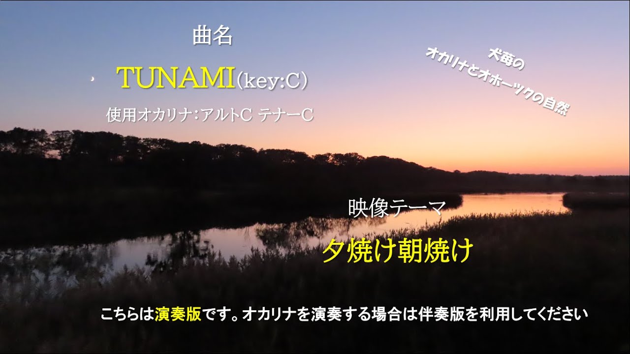 TUNAMI(朝焼け夕焼け)演奏