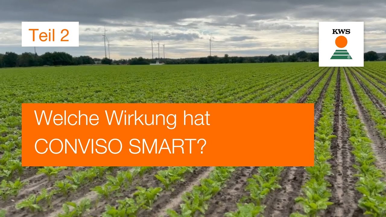 Welche Wirkung hat CONVISO SMART?