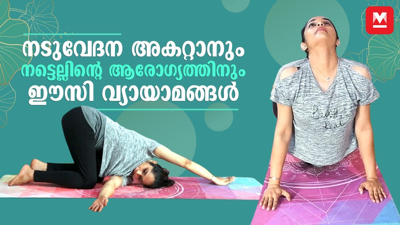 നടുവേദന അകറ്റാനും നട്ടെല്ലിന്റെ ആരോഗ്യത്തിനും ഈസി വ്യായാമങ്ങൾ  | Spine Management yoga by Dr.Akhila