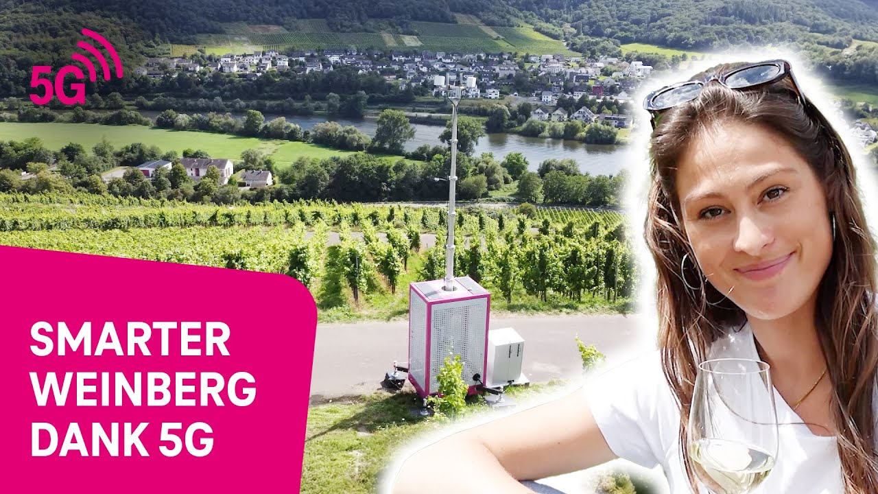 Smarter Weinberg: Wie 5G den Weinbau revolutioniert