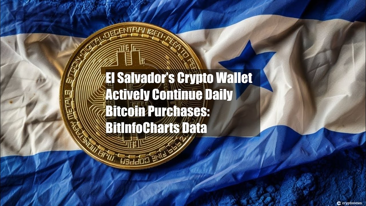 El Salvador&rsquo;s Crypto Wallet Actively Continue Daily Bitcoin