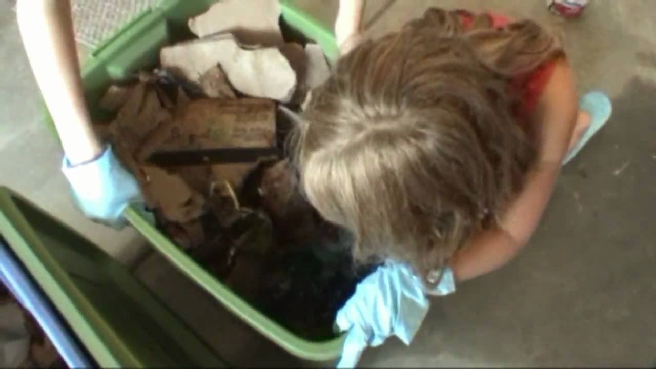 How to Build Cheap DIY Worm Bin by Kids