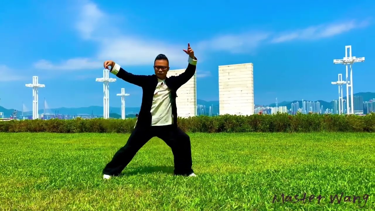 武當三豐太極拳 #武當 #kungfu #wushu #武術 #Taichi #taichi #martial #taijiquan