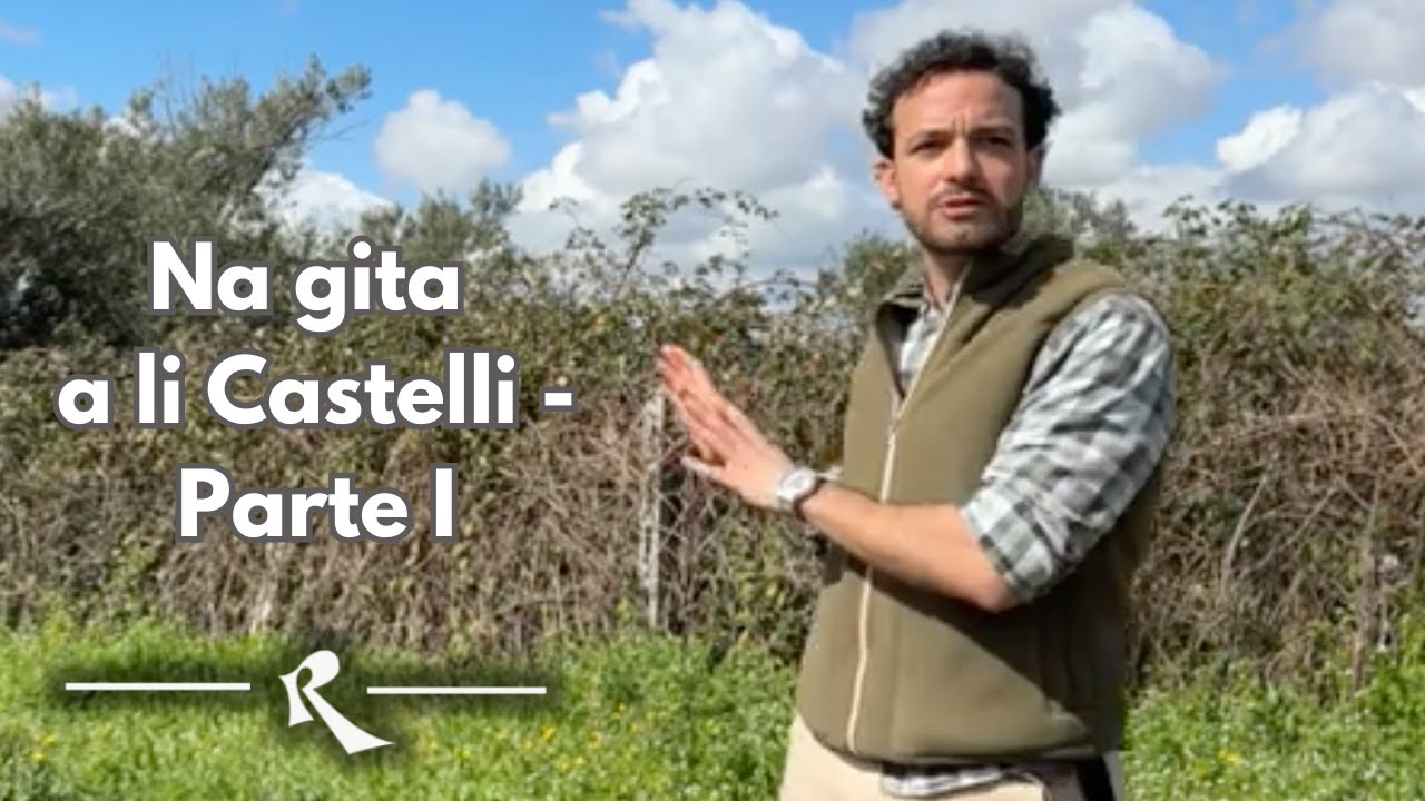 Alla scoperta del vino dei Castelli Romani - Parte I