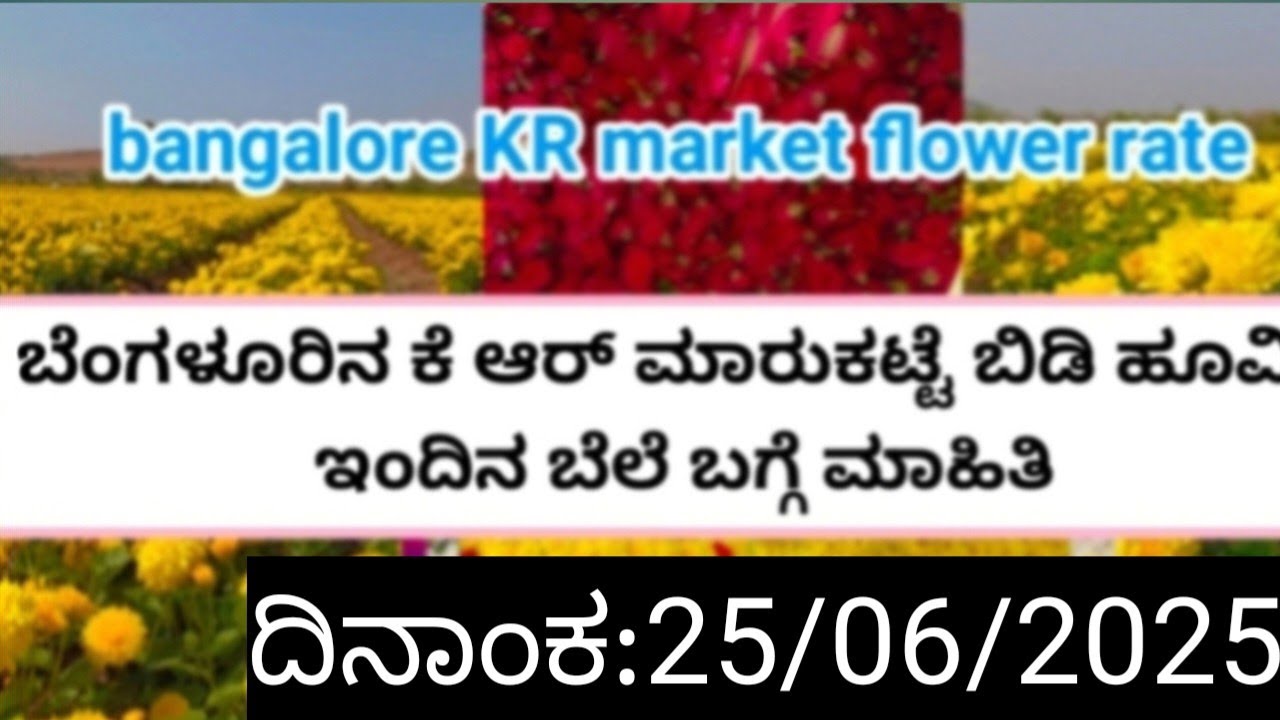 Bangalore KR flower market today rate update/25/06/2025