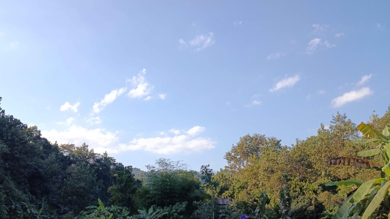 এসো বন্ধুরা আমরা সততার সাথে একে অপরকে সাপোর্ট করি