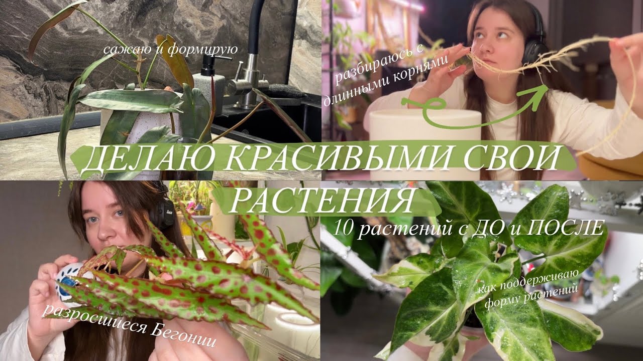 Формирую свои Растения | преображение 10 растений || до и после
