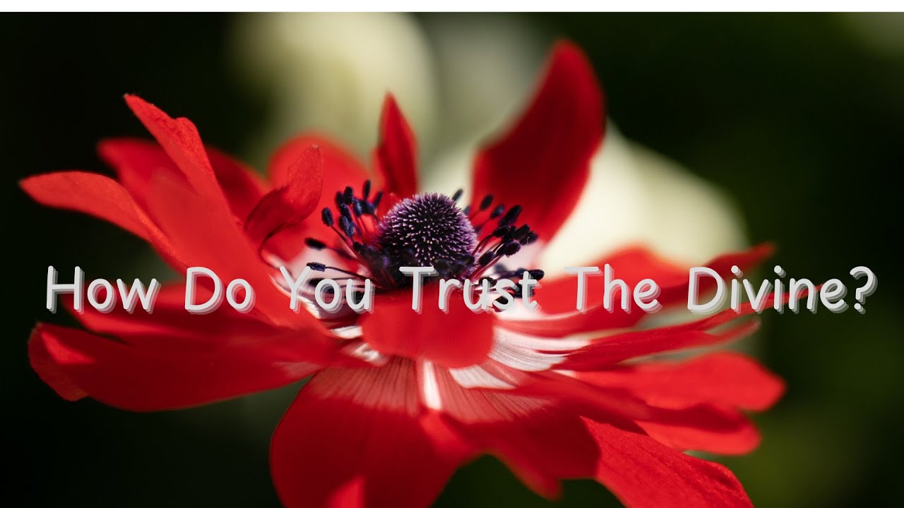 How Do You Trust The Divine?