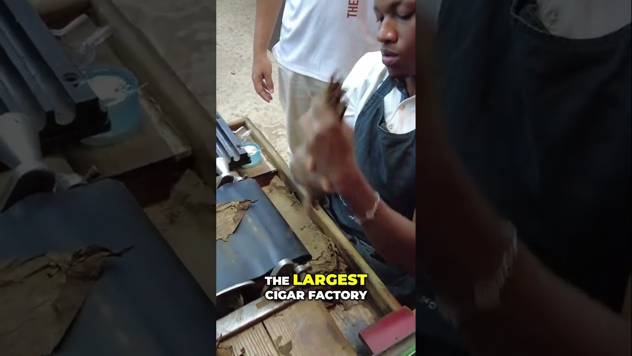 Dominican Republic Cigar Tour: Largest Factory in the World!