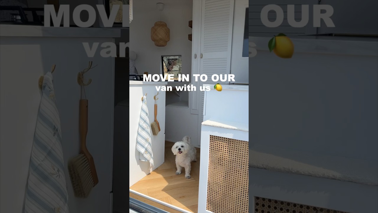 wprowadź się do naszego vana razem z nami 🚐 #vantour