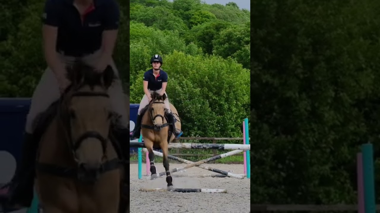 My Horse has a MAJOR Spook! 👻