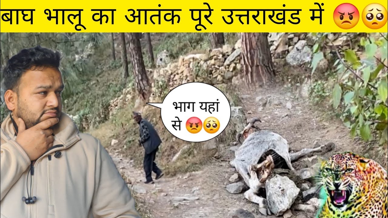 😡🥺 चाचा भी भागने लगे तेंदुआ का आतंक ने पूरे उत्तराखंड को हिला रखा है! Pahadi Lifestyle Vlogs 