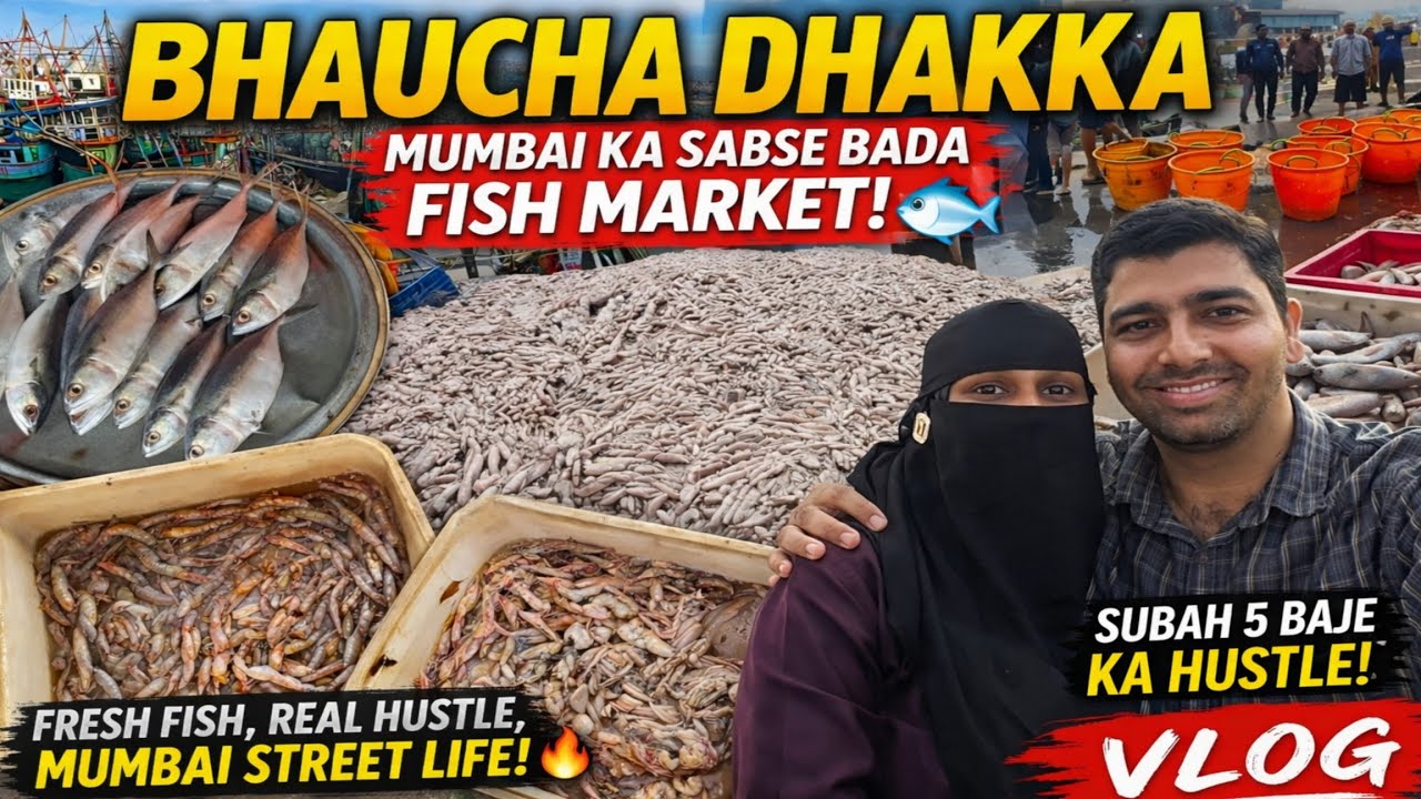 Chale Hum Bhaucha Dhakka Fish Lene | Mumbai Cheapest Market | Bhaucha Dhakka Wholesale Fish Market 